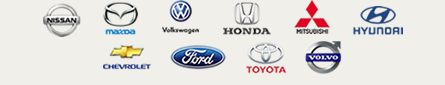 vehiculos multimarca neumasur